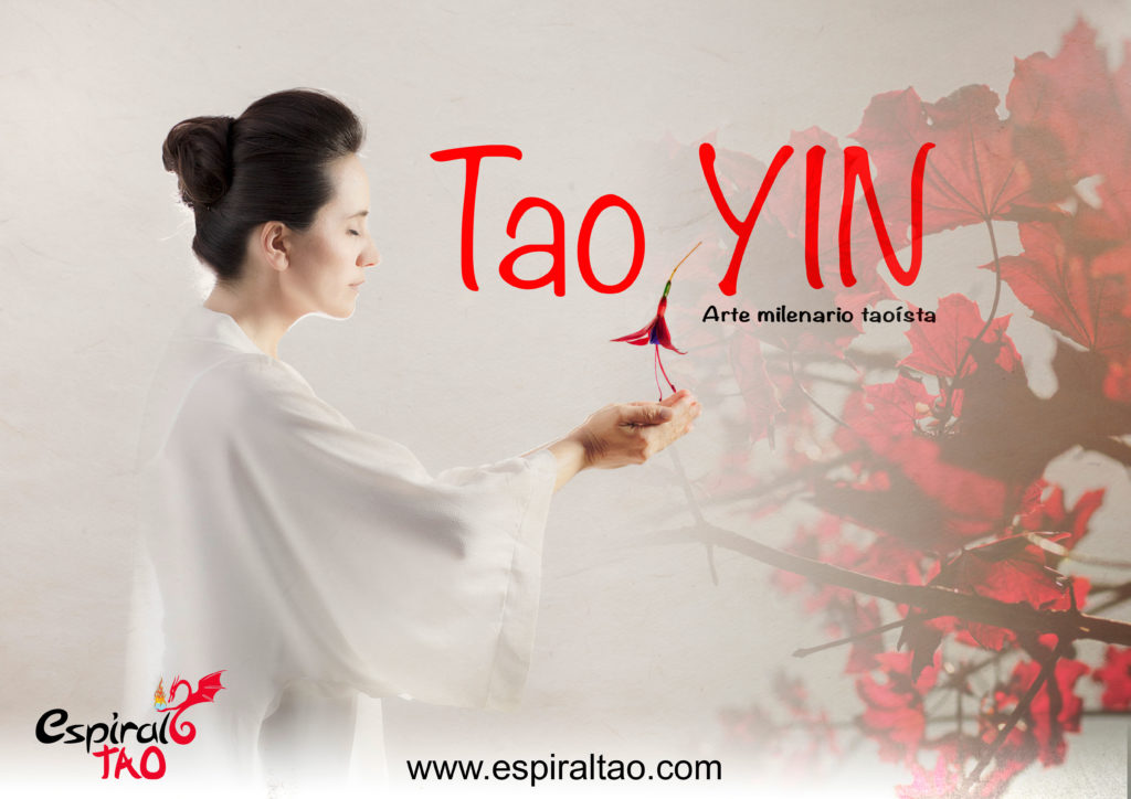 a4_a6_tao_yin-web